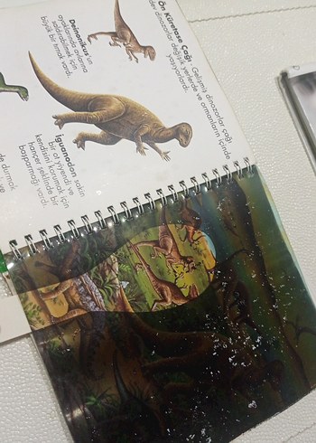 Dinozorlar - Marsık İlk Kitaplar Dizisi okul öncesi ilkokul - Görsel 11