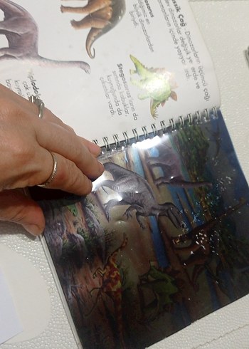 Dinozorlar - Marsık İlk Kitaplar Dizisi okul öncesi ilkokul - Görsel 9