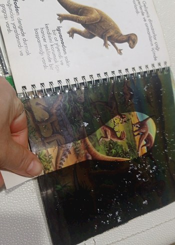 Dinozorlar - Marsık İlk Kitaplar Dizisi okul öncesi ilkokul - Görsel 12