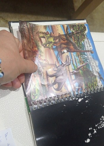 Dinozorlar - Marsık İlk Kitaplar Dizisi okul öncesi ilkokul - Görsel 10