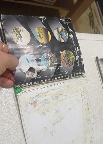 Dinozorlar - Marsık İlk Kitaplar Dizisi okul öncesi ilkokul - Görsel 13