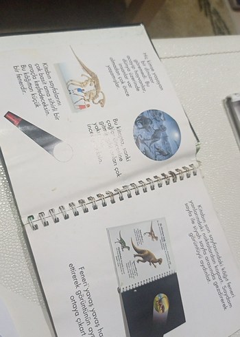 Dinozorlar - Marsık İlk Kitaplar Dizisi okul öncesi ilkokul - Görsel 3