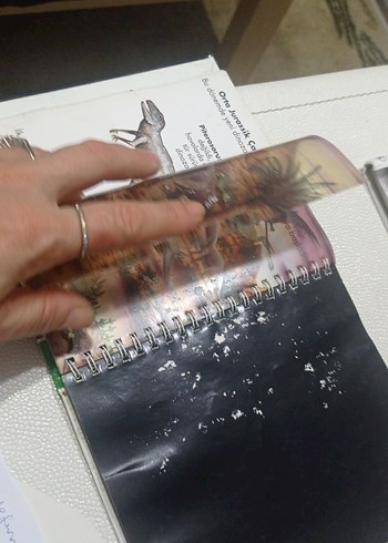 Dinozorlar - Marsık İlk Kitaplar Dizisi okul öncesi ilkokul - Görsel 7