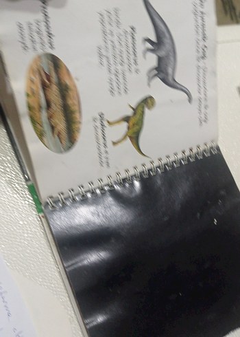 Dinozorlar - Marsık İlk Kitaplar Dizisi okul öncesi ilkokul - Görsel 5