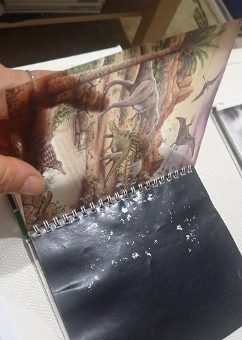 Dinozorlar - Marsık İlk Kitaplar Dizisi okul öncesi ilkokul - Görsel 6