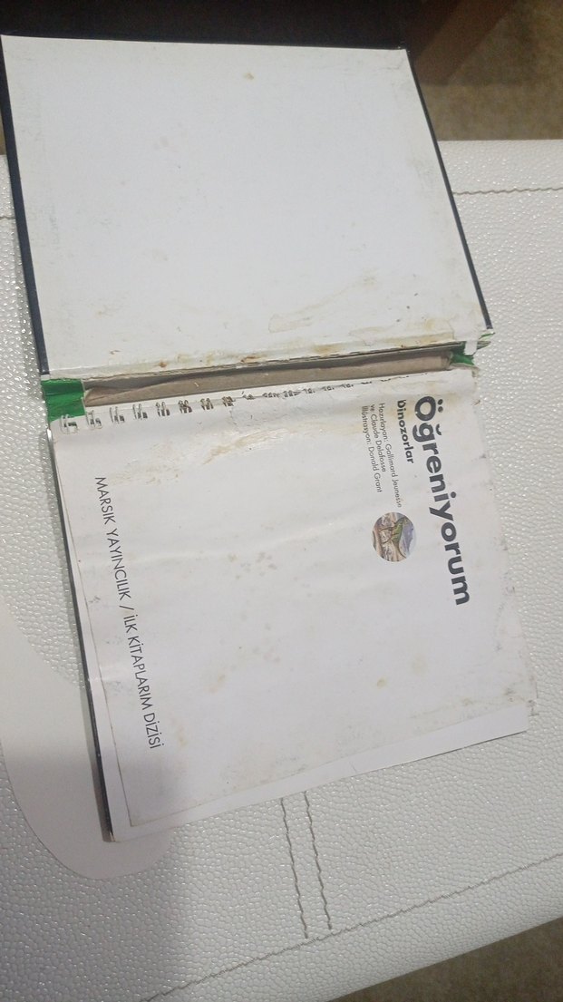 Dinozorlar - Marsık İlk Kitaplar Dizisi okul öncesi ilkokul - Görsel 2