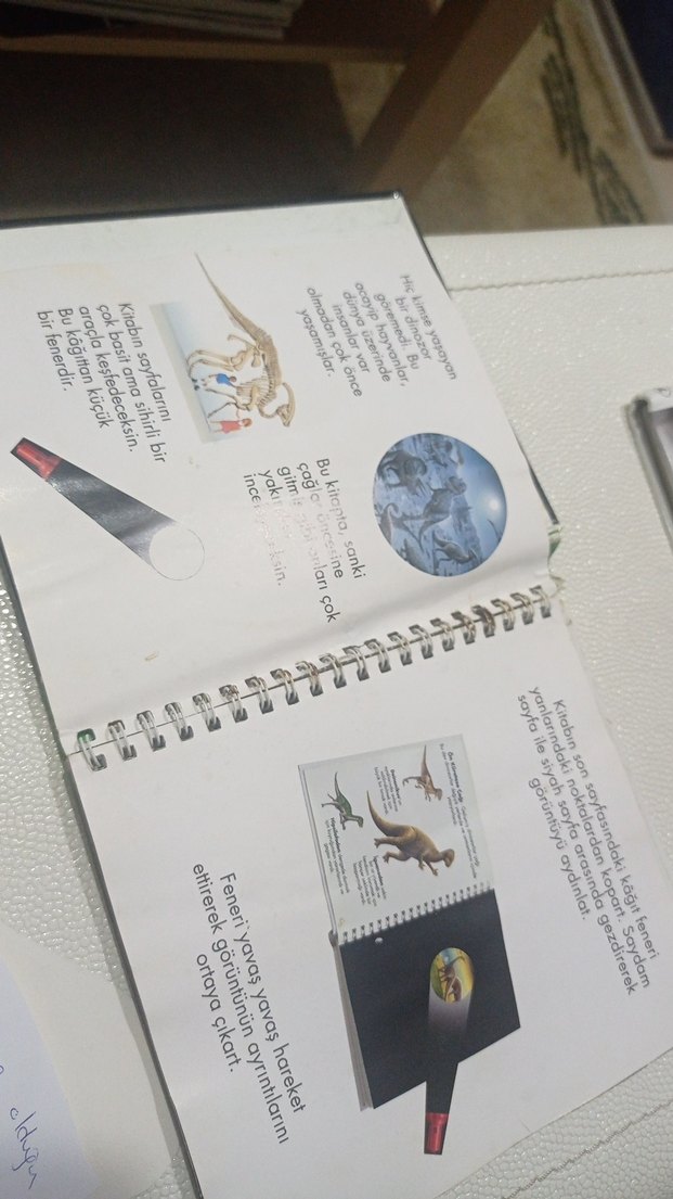 Dinozorlar - Marsık İlk Kitaplar Dizisi okul öncesi ilkokul - Görsel 3