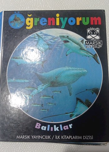 Balıklar - İlk Kitaplar Dizisi okul öncesi ilkokul