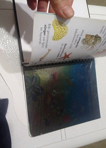 Balıklar - İlk Kitaplar Dizisi okul öncesi ilkokul - Görsel 6