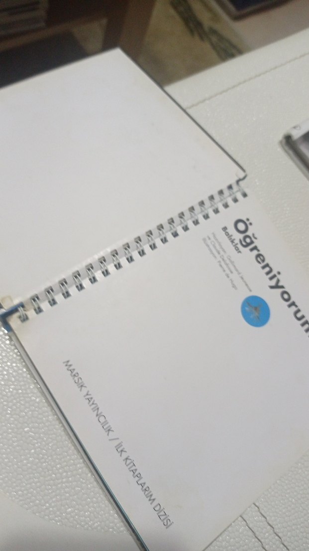 Balıklar - İlk Kitaplar Dizisi okul öncesi ilkokul - Görsel 2