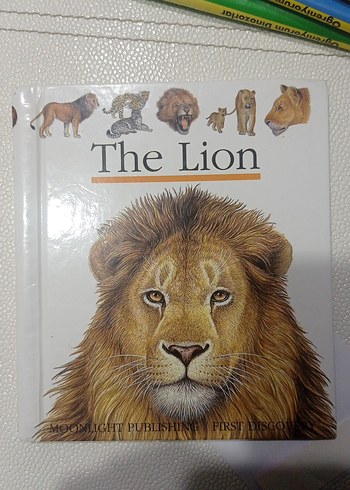 Aslan Temalı Kitabı ingilizce çocuk kitapları