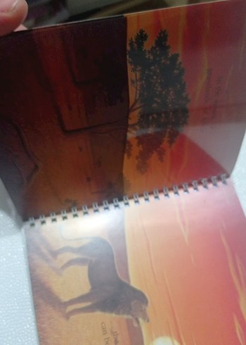 Aslan Temalı Kitabı ingilizce çocuk kitapları - Görsel 4