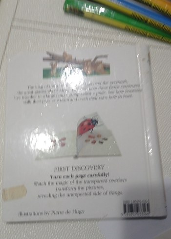 Aslan Temalı Kitabı ingilizce çocuk kitapları - Görsel 2