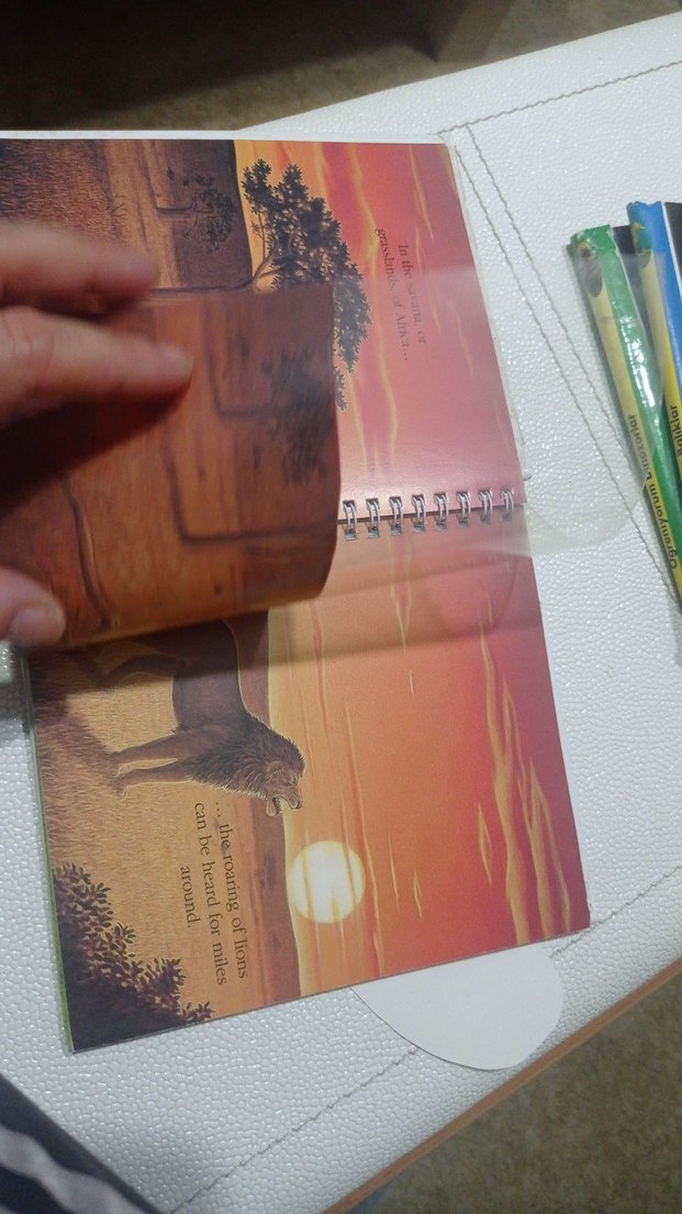 Aslan Temalı Kitabı ingilizce çocuk kitapları - Görsel 5