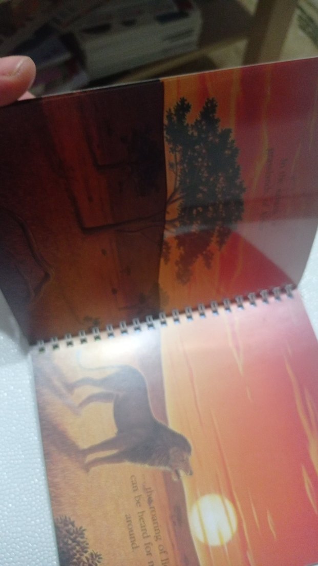 Aslan Temalı Kitabı ingilizce çocuk kitapları - Görsel 4