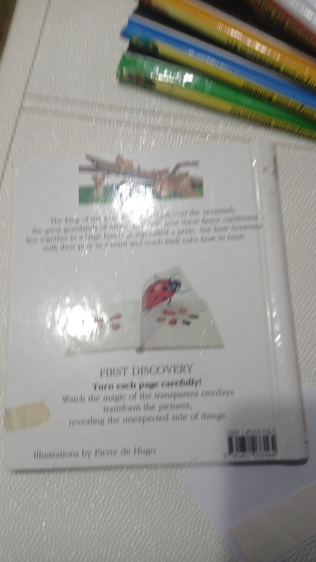 Aslan Temalı Kitabı ingilizce çocuk kitapları - Görsel 2