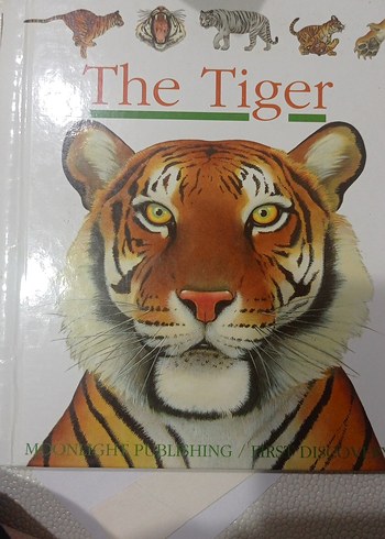 The Tiger - İlkokul Kitabı