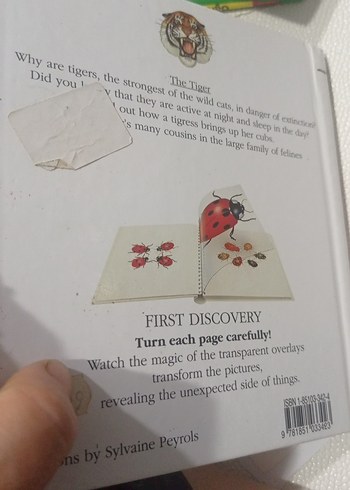 The Tiger - İlkokul Kitabı - Görsel 2