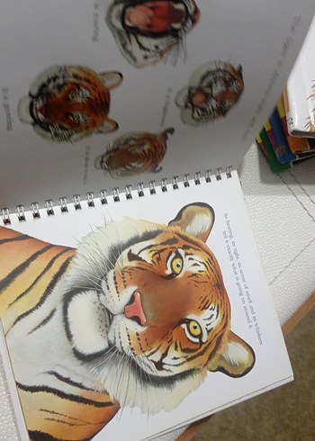 The Tiger - İlkokul Kitabı - Görsel 5