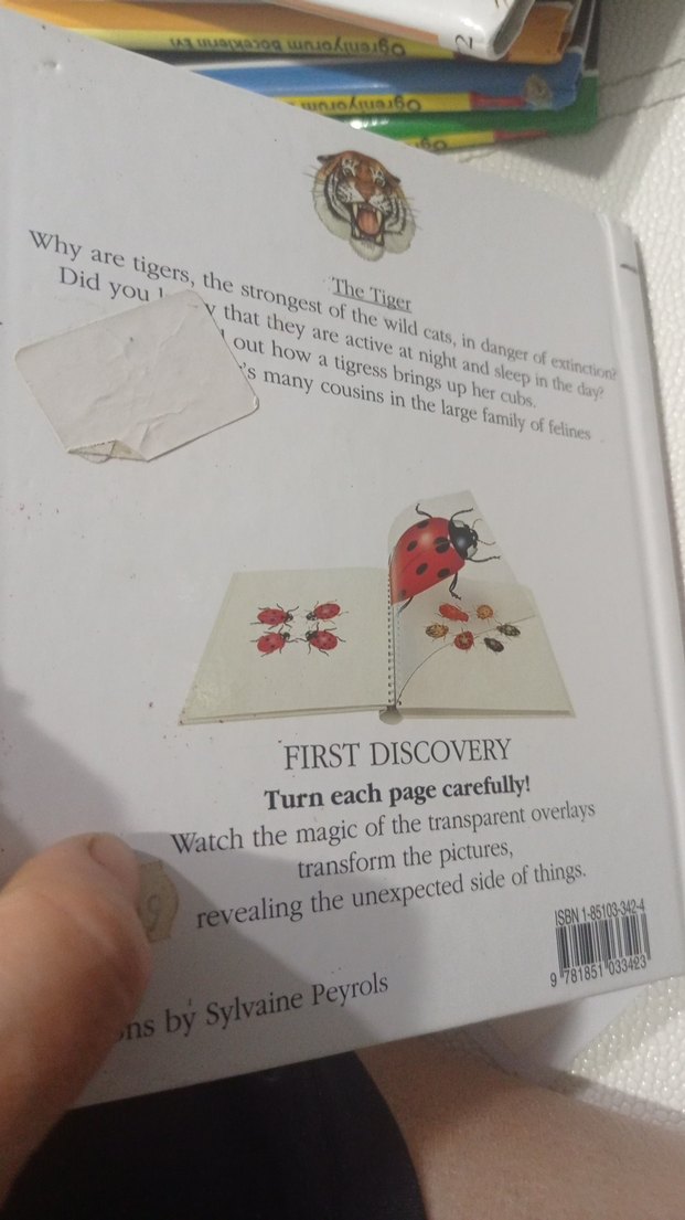 The Tiger - İlkokul Kitabı - Görsel 2