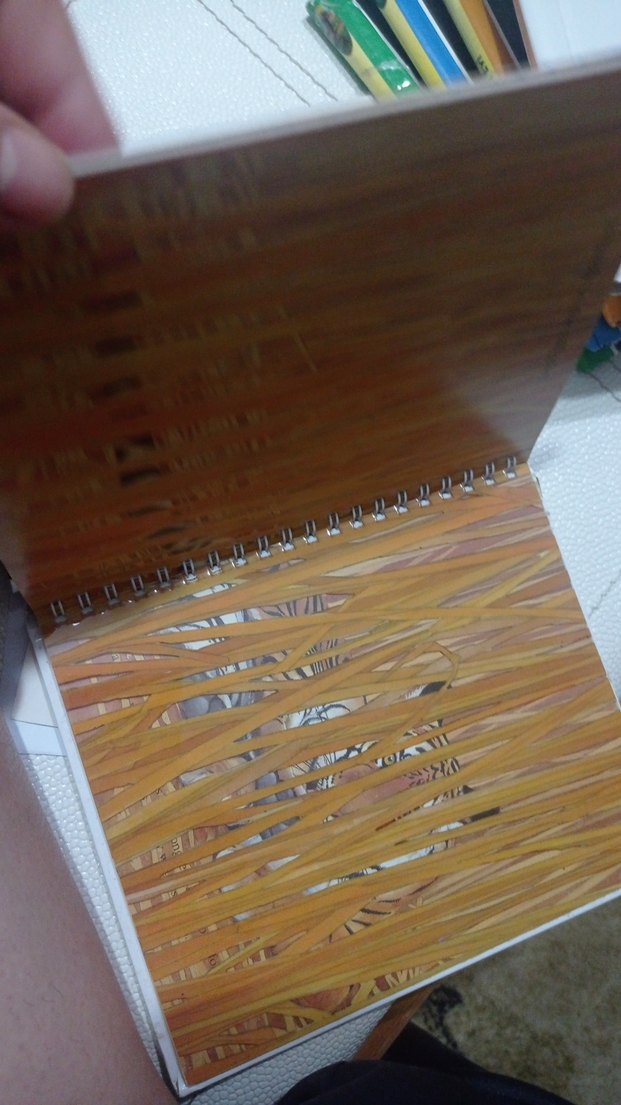 The Tiger - İlkokul Kitabı - Görsel 3