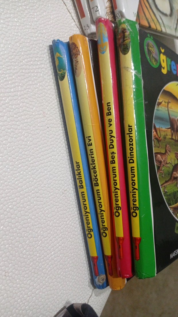 Çocuklar için Resimli Kitaplar okul öncesi ve okul sonrası - Görsel 2