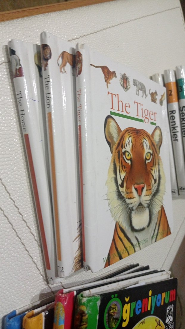 Çocuklar için Resimli Kitaplar okul öncesi ve okul sonrası - Görsel 3