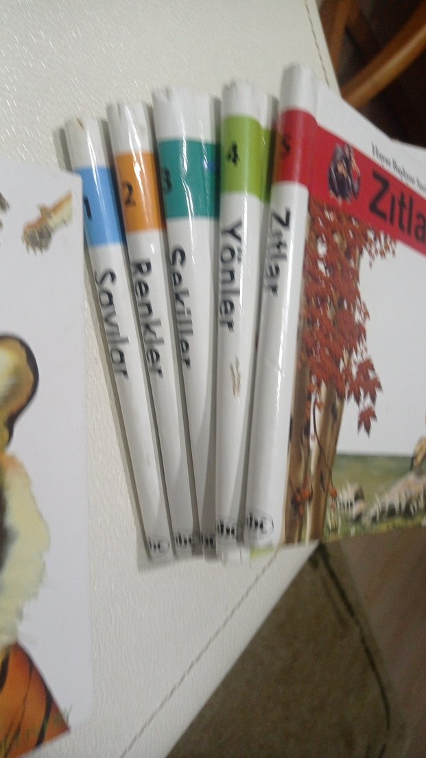 Çocuklar için Resimli Kitaplar okul öncesi ve okul sonrası - Görsel 4