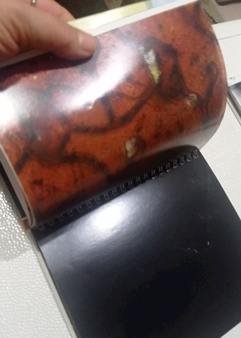 Öğreniyorum: Böceklerin Evi Çocuk Kitabı okul öncesi ve ilkokul - Görsel 3