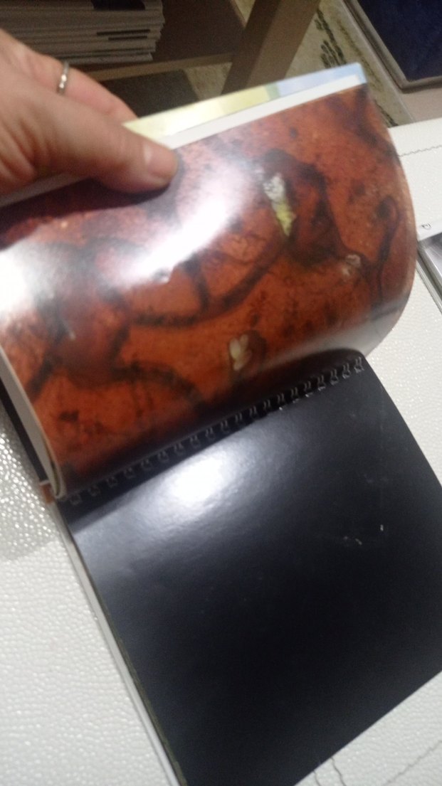 Öğreniyorum: Böceklerin Evi Çocuk Kitabı okul öncesi ve ilkokul - Görsel 3