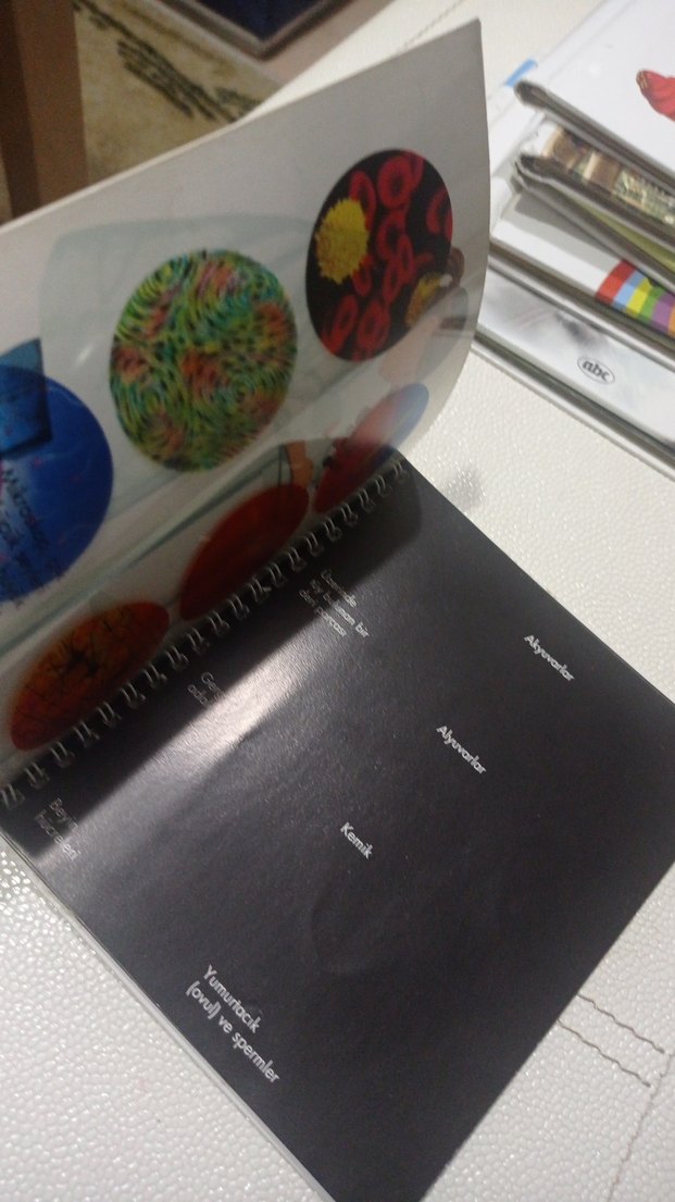 Beş Duyu ve Ben - Marsık Yayıncılık okul öncesi ve ilkokul - Görsel 4