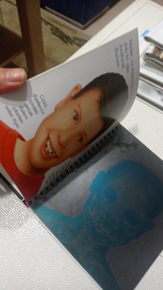 Beş Duyu ve Ben - Marsık Yayıncılık okul öncesi ve ilkokul - Görsel 3