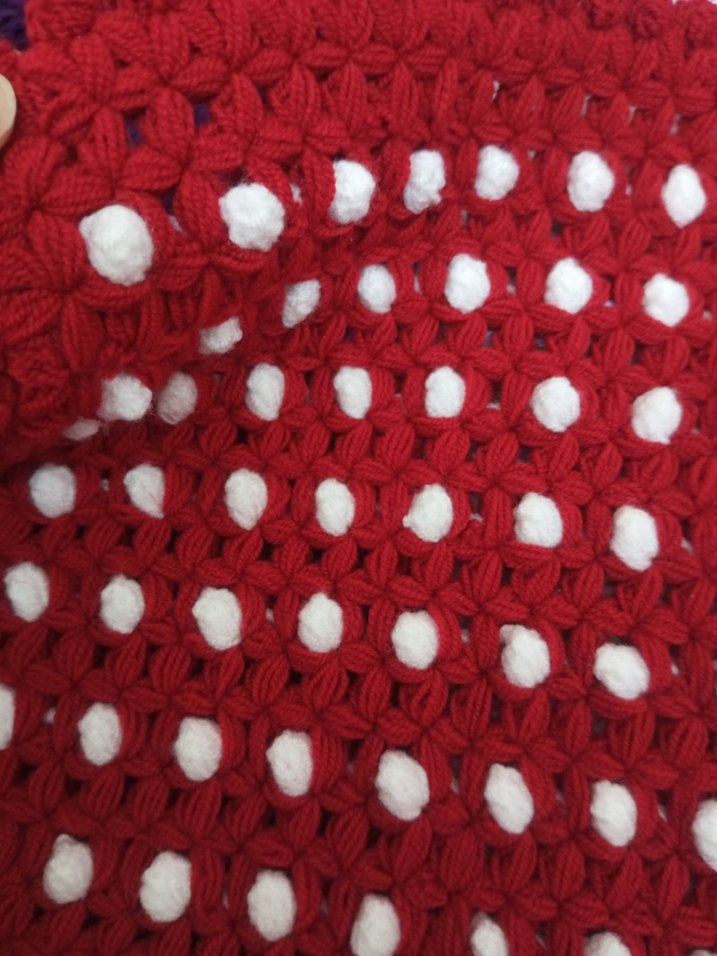 Kırmızı Renkli Banyo Lifi - Görsel 3