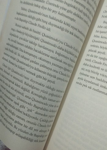 Notre Dame'ın Kamburu - Victor Hugo - Görsel 2