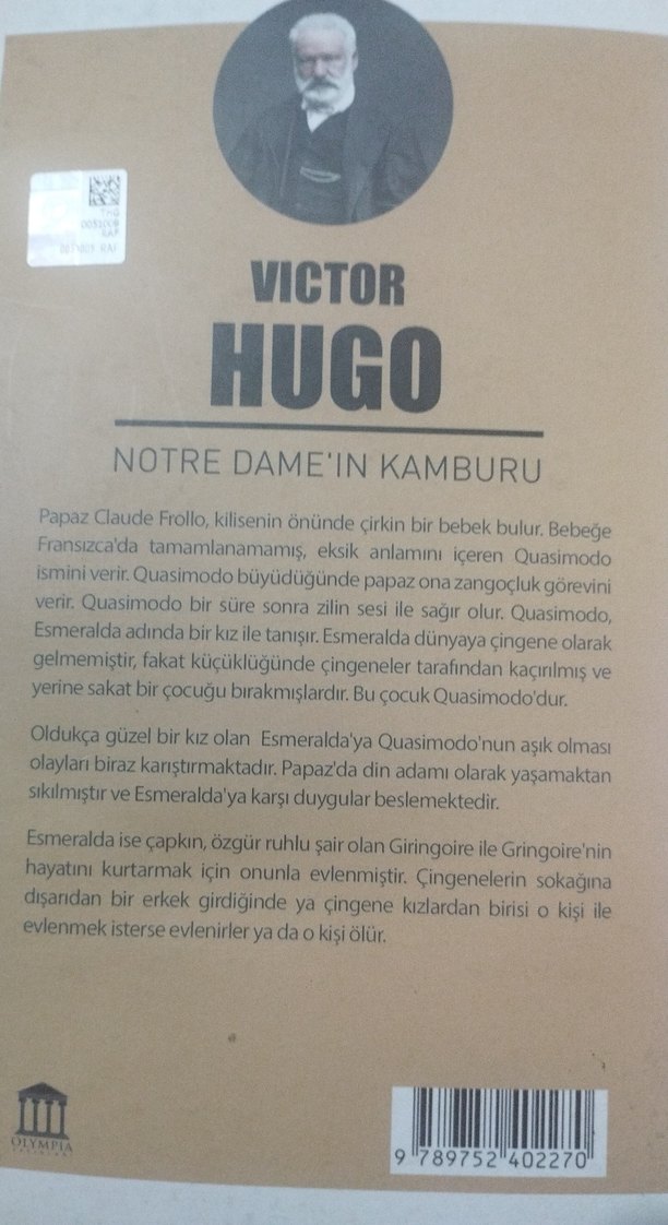 Notre Dame'ın Kamburu - Victor Hugo - Görsel 3