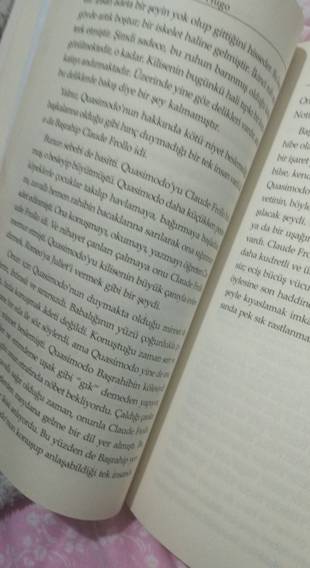 Notre Dame'ın Kamburu - Victor Hugo - Görsel 2