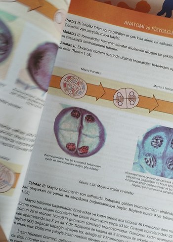 Anatomi ve Fizyoloji Kitabı - Görsel 3