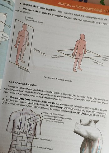 Anatomi ve Fizyoloji Kitabı - Görsel 2