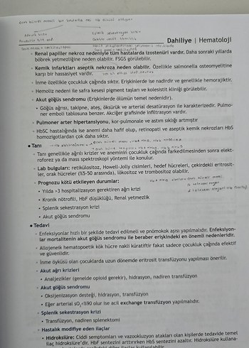 Beden Renk Atilla Uslu dahiliye konu seti