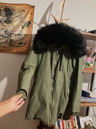 zara mont