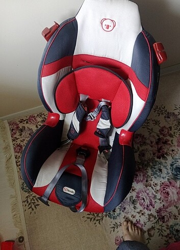 Koala Baby Çocuk oto koltuğu