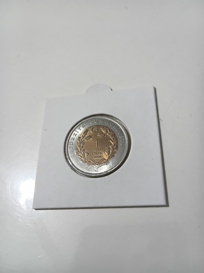 Bimetal hayvanlar serisinden Fil - Görsel 2