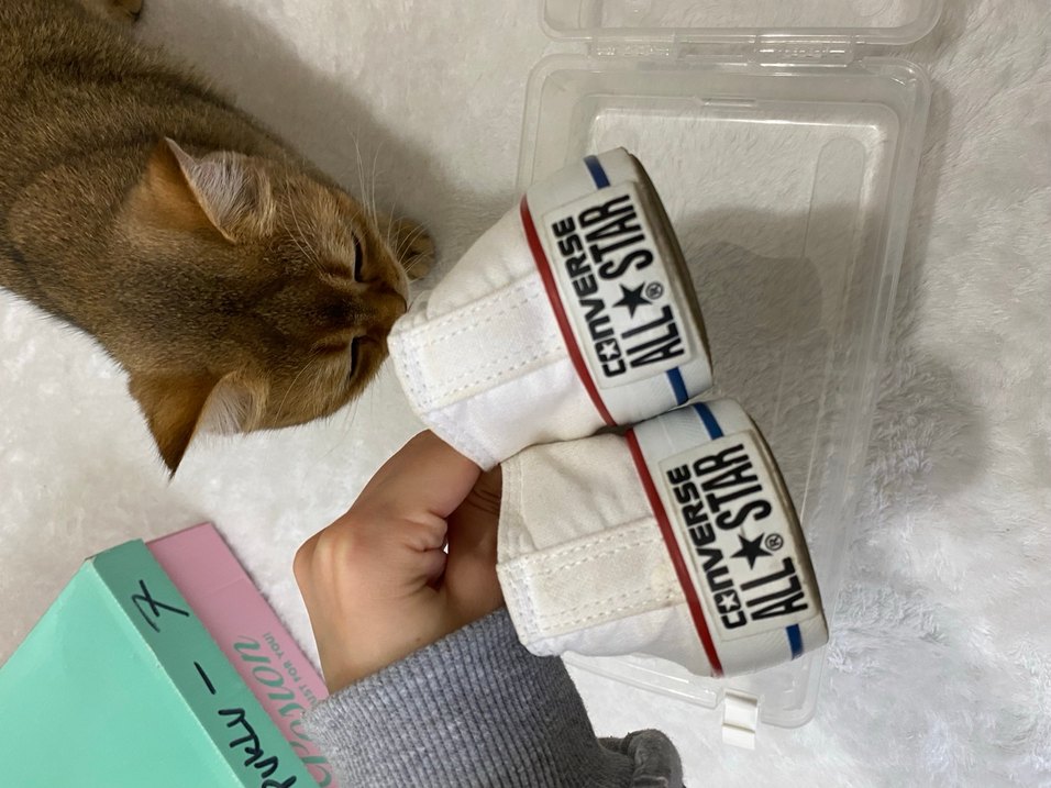 Kadın Beyaz Düz Tabanlı Spor Ayakkabı - Görsel 5