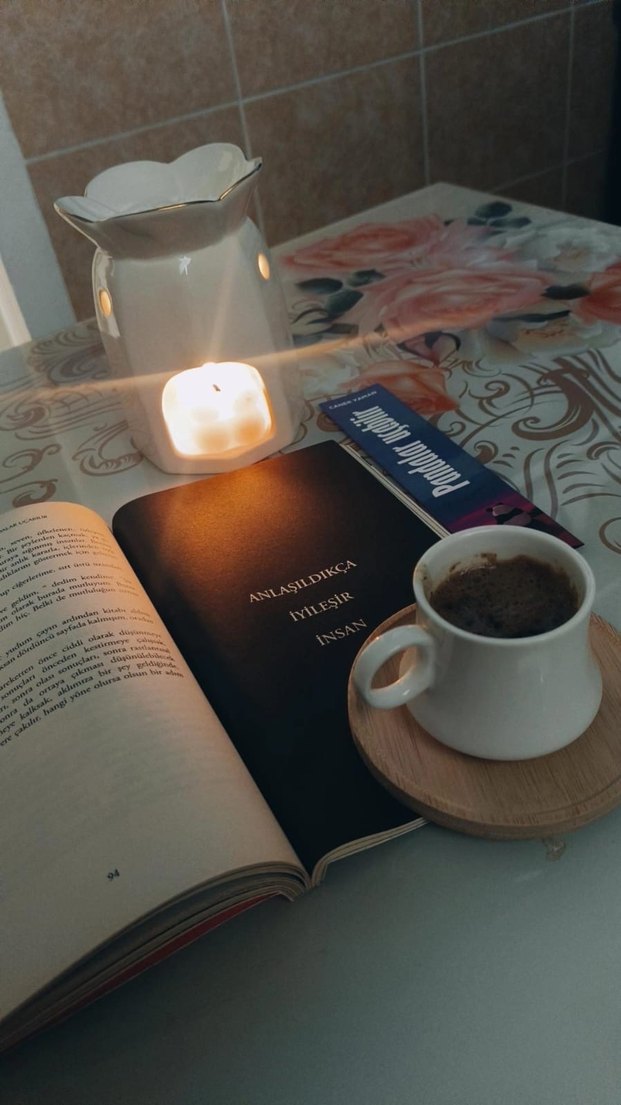 Anlaşıldıkça İyileşir İnsan Romanı - Görsel 2