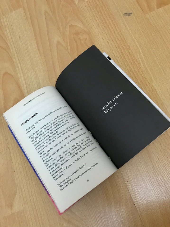 Anlaşıldıkça İyileşir İnsan Romanı - Görsel 5