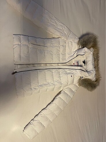 xs Beden Tommy mont