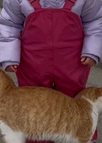 kar tulumu - Görsel 2