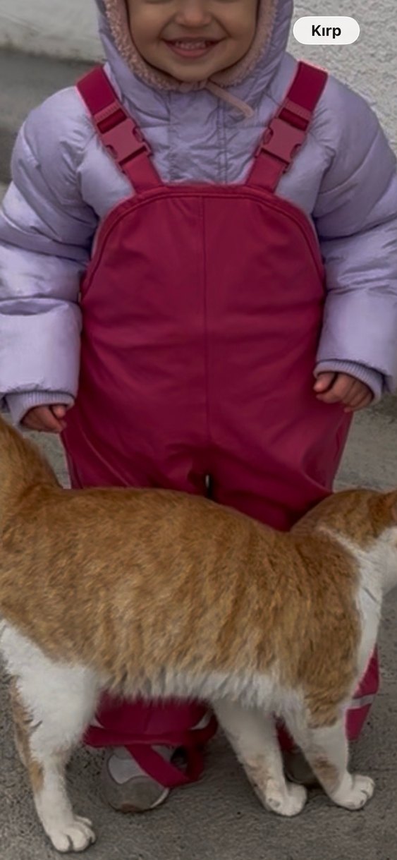 kar tulumu - Görsel 2