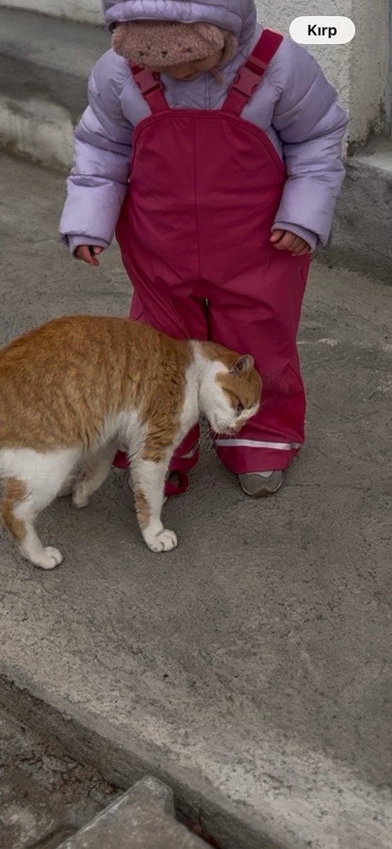 kar tulumu - Görsel 3