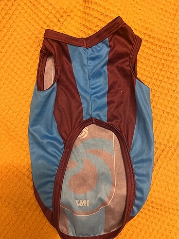 Kedi köpek kostümleri - Görsel 2